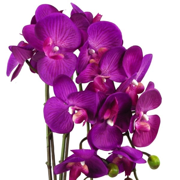 Leaf 52cm Artificial Orchid Large - Purple / Gold