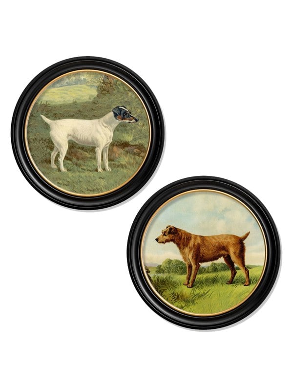 Exceptional Art c.1881 Terriers - Round Frame