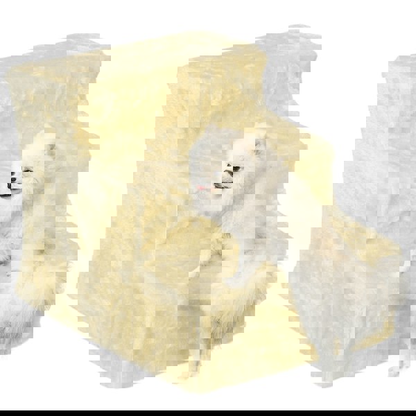 D06-091V01BG