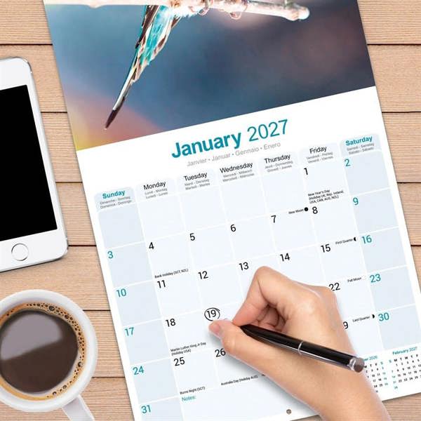 Budgerigars Calendar 2027, Wall Calendars, Month To View, Animals, Gift