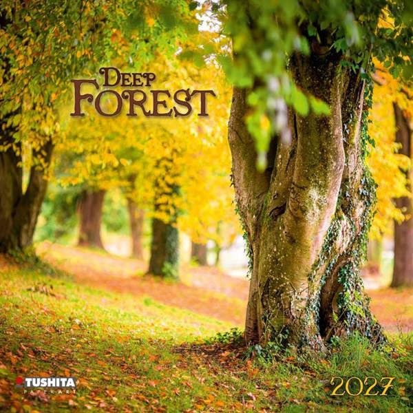 Deep Forest Calendar 2027, Wall Calendars, Month To View, Natural World, Gift