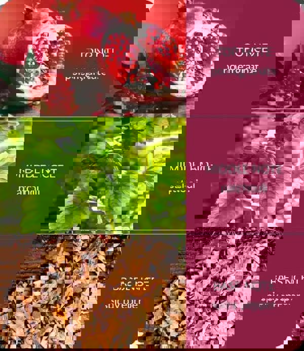 BAMBOO Pomegranate & Pepperwood - Large Bamboo Fragrance Diffuser