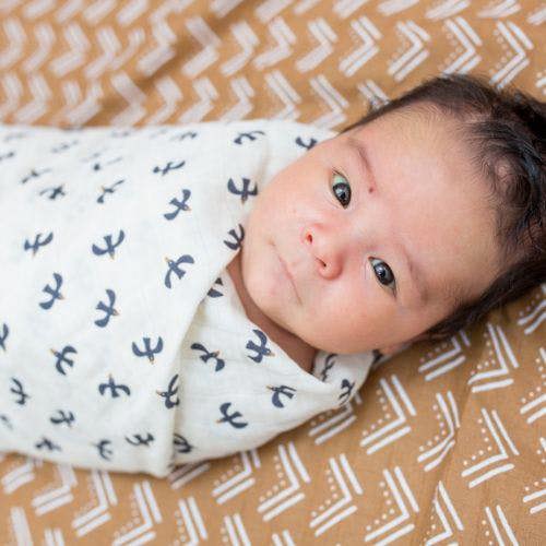 Lulujo - Cotton Swaddle - Black Bird & Mudcloth - 2 Pack