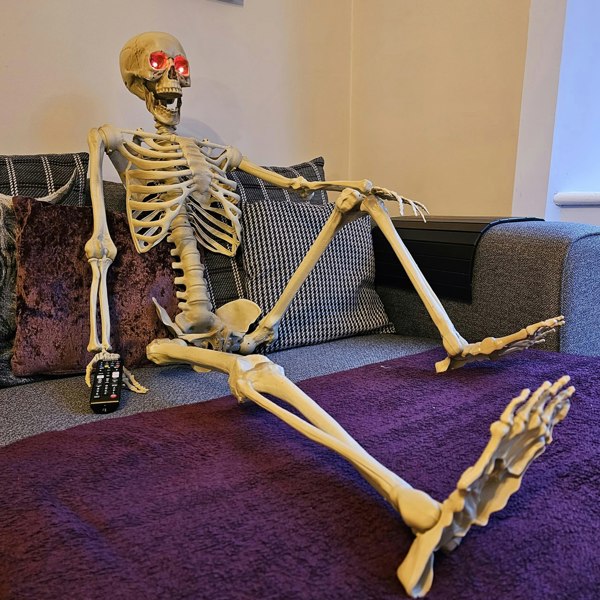 Samuel Alexander Pack of 4 5ft (150cm) Posable Full Body Halloween LED Skeleton Decoration with Movable Joints and LED Eyes