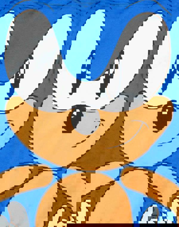 Sonic the Hedgehog Boys Blue Character Hoodie