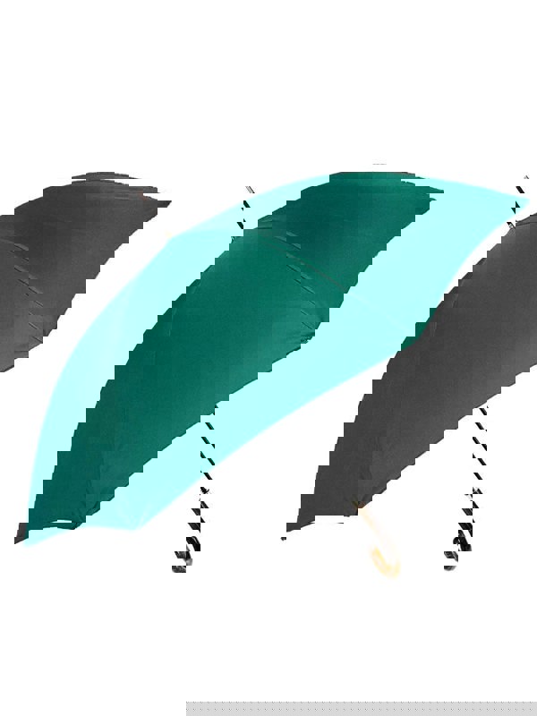 TCL Umbrella