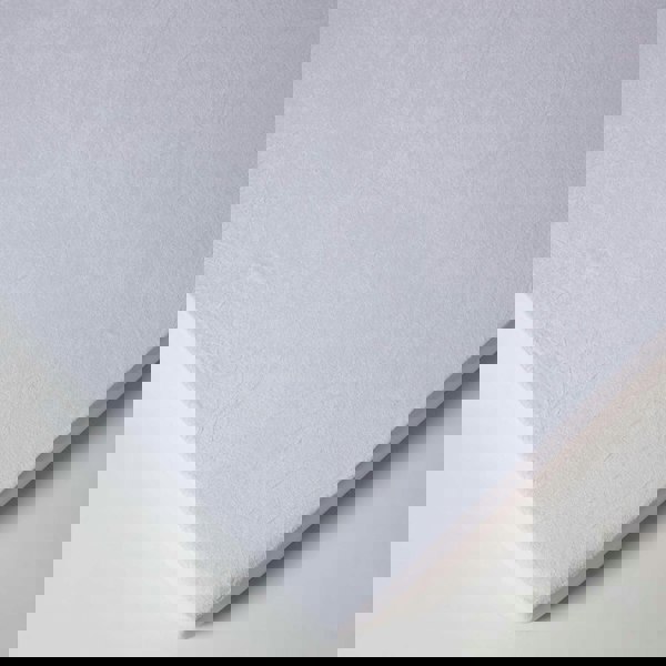 HOMESCAPES Terry Towelling Waterproof Mattress Protector