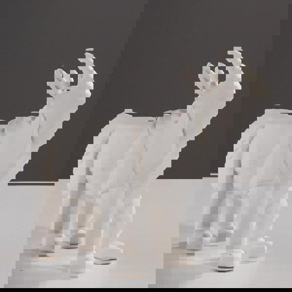 Decoration: Rhinoceros-Weilai Concept-Weilai Concept