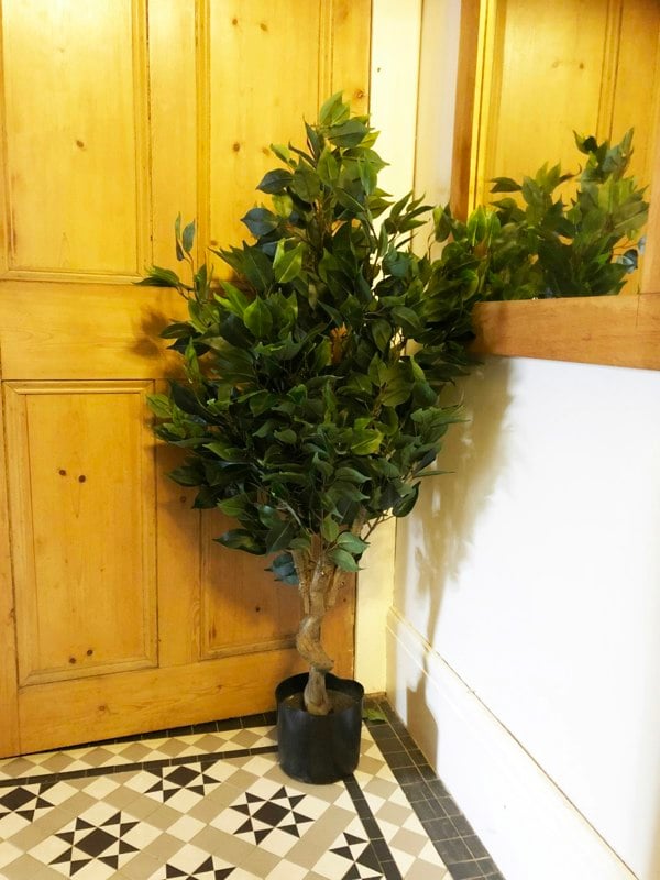 Leaf 110cm Artificial Evergreen Twist Ficus Tree