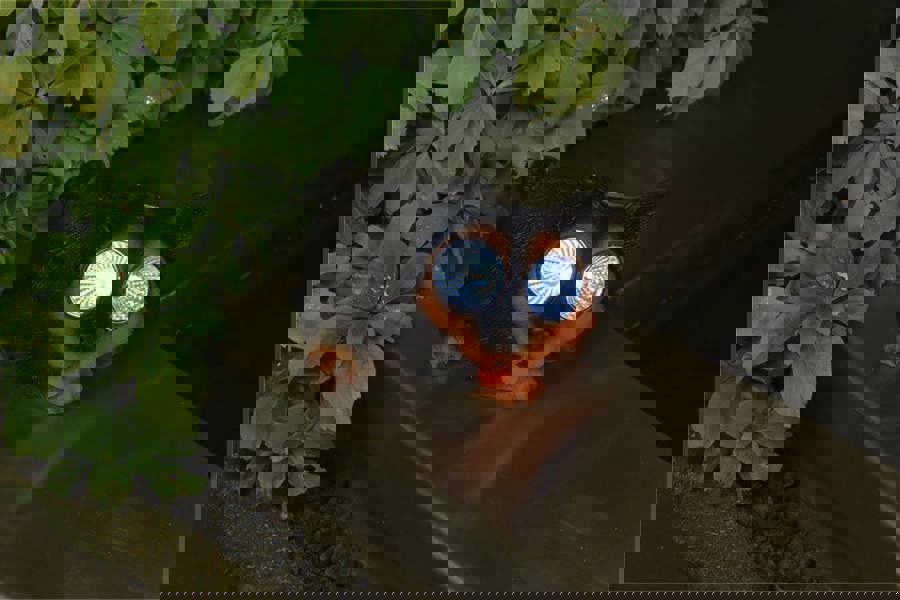 Luxform Solar Dog Light Led Eyes