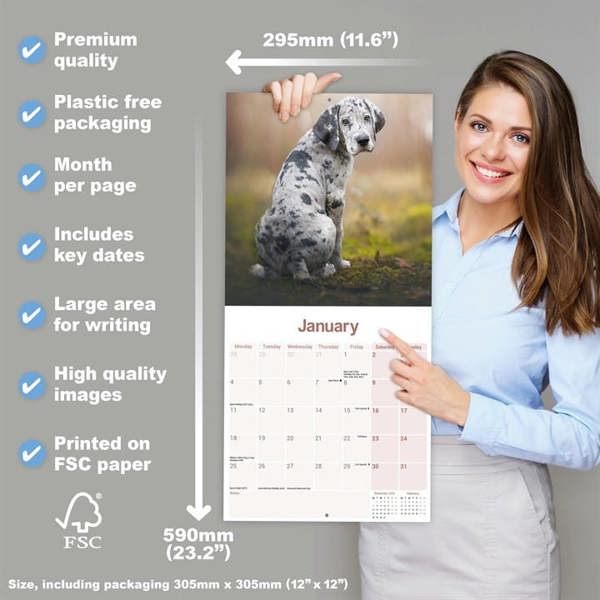 Great Dane Calendar 2027, Wall Calendars, Month To View, Dogs, Gift