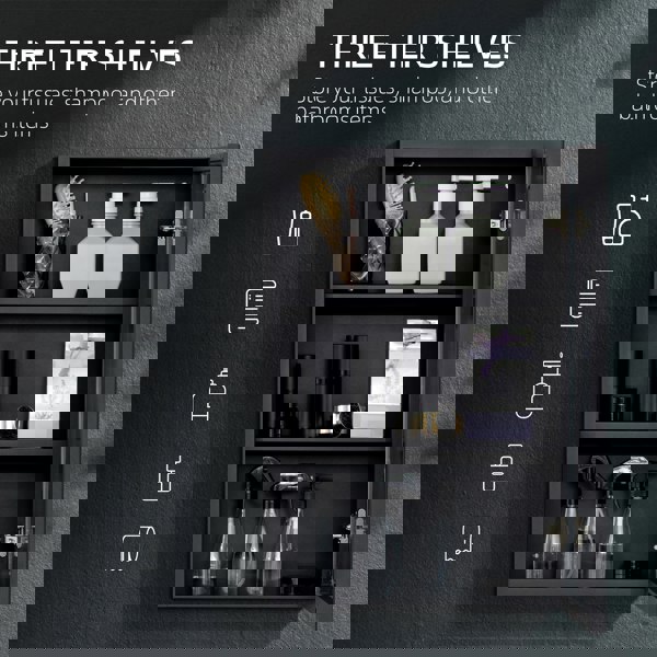 Mirror Cabinet/Medicine Cabinet