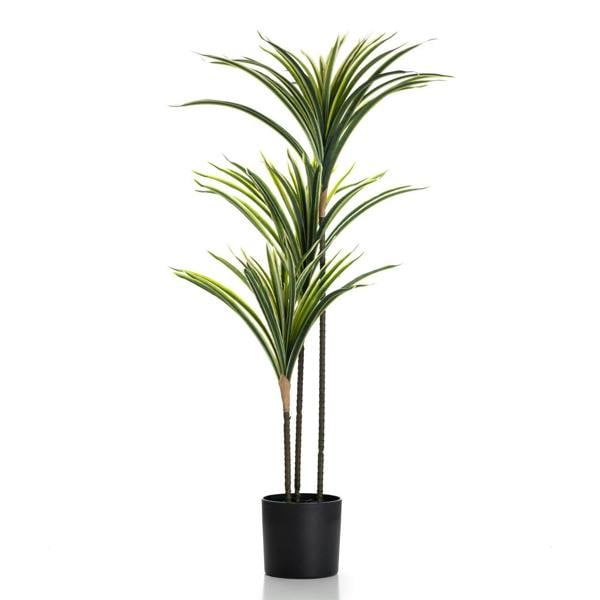 Scottish Everlastings 90cm Real Touch Variegated Yucca