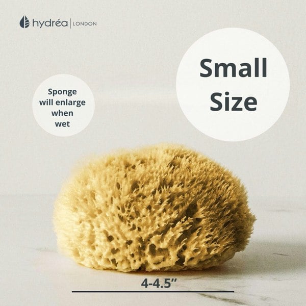 Hydréa London Natural Honeycomb Sea Sponge - size 4-4.5"