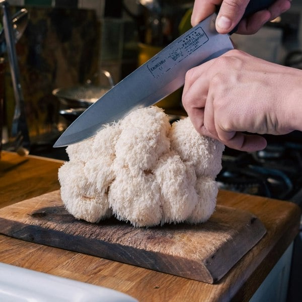 Urban Farm-It Fresh Organic Lion's Mane Mushrooms