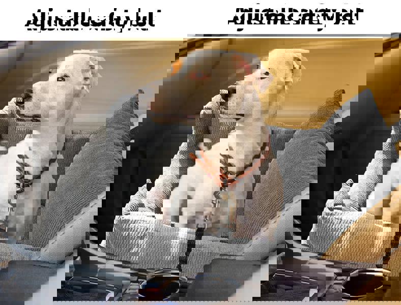 Skylos Pet Car Booster Seat Dog Protector Portable Bed Removable Dark Grey M