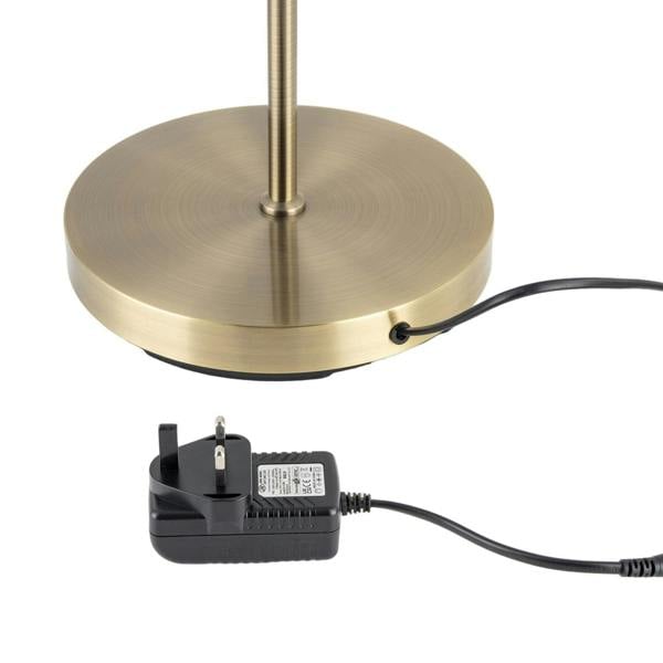 Modern LED Halo Ring Floor Lamp in Antique Brass with CCT Dimmer Image 4