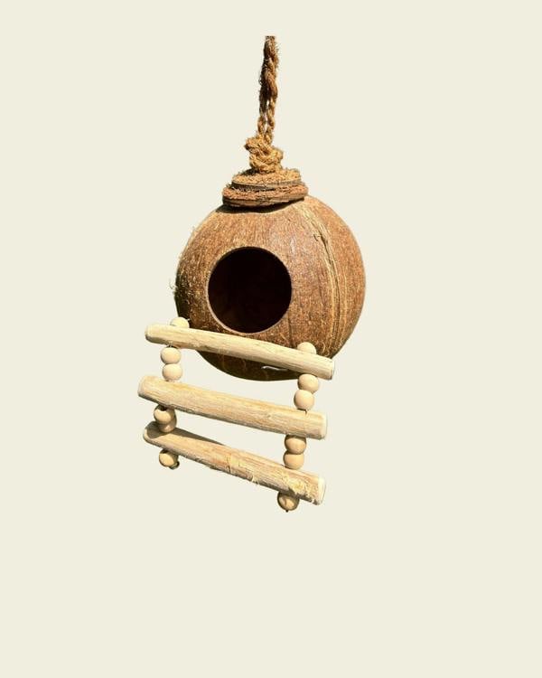 CoirProducts Shell Bird Nest