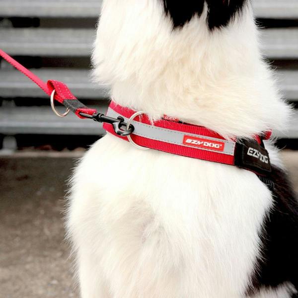 EzyDog UpFront D-ring Harness Attachment