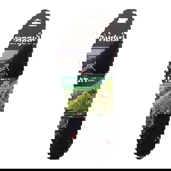 t4option1_1