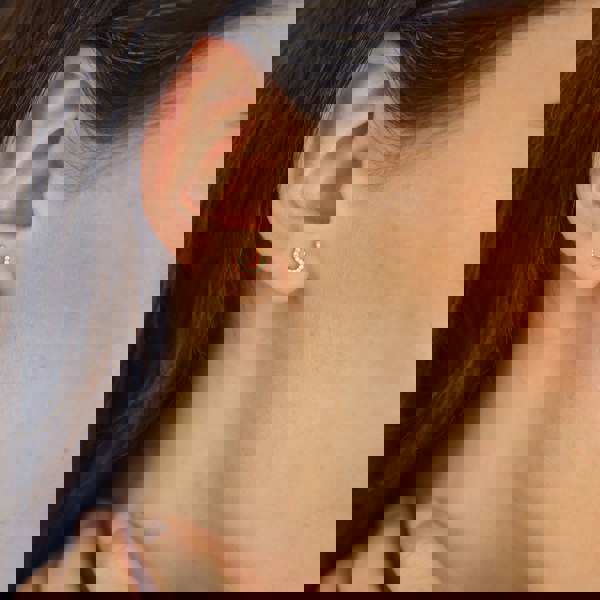 Horseshoe Stud Earrings