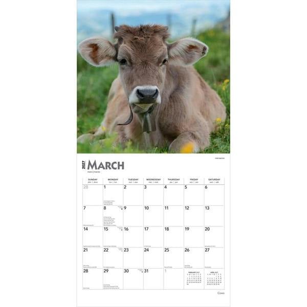 Cows Calendar 2027, Wall Calendars, Month To View, Animals, Gift