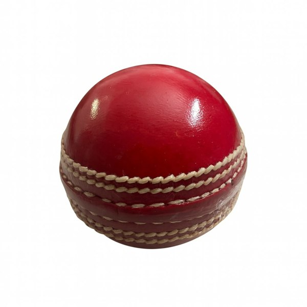 CRICKET-GIFTS Real Cricket Ball Paperweight Hand Made