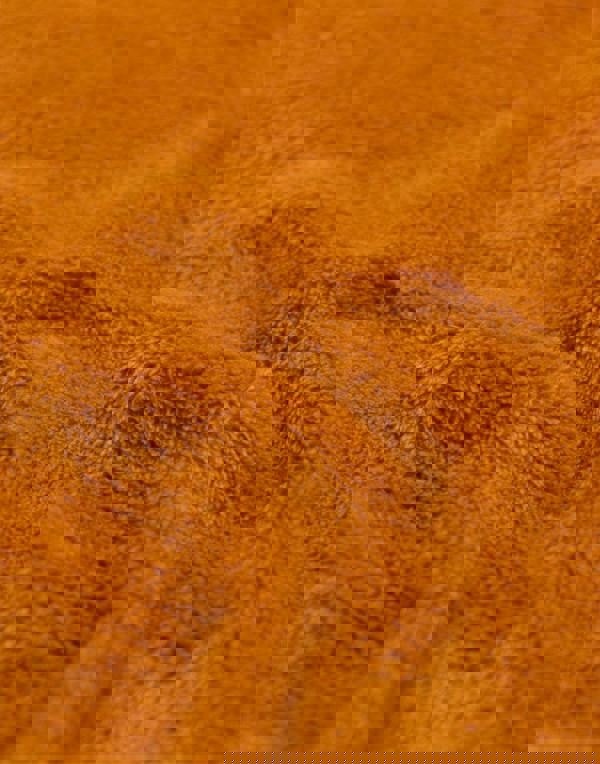 Scooby Doo Unisex Brown Character Onesie