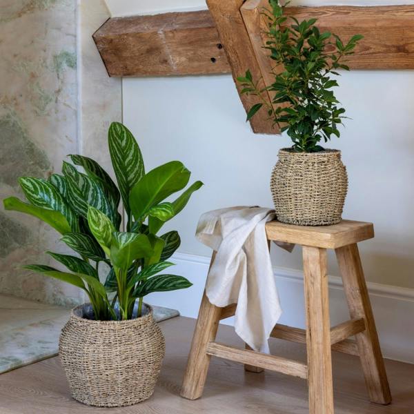 Ivyline Tula Tapered Seagrass Planter Set of 2