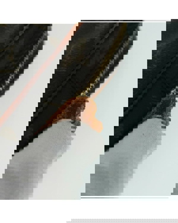 193991446.jpg