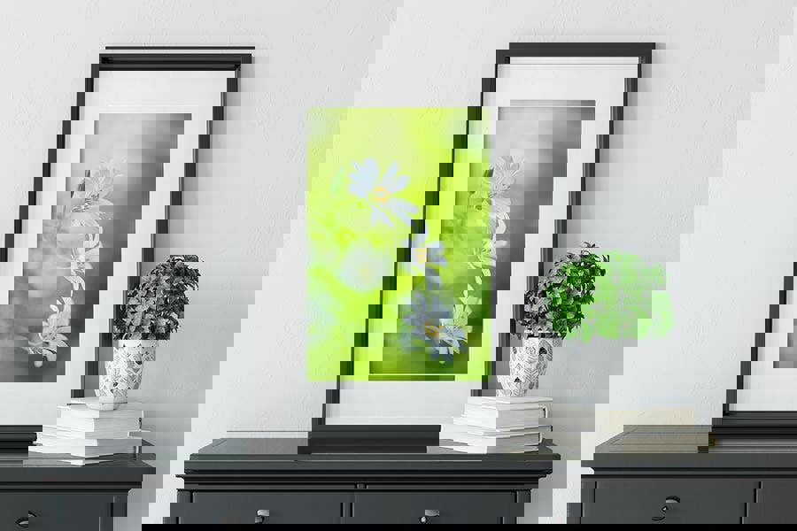 Spring Delights daisy flower art print