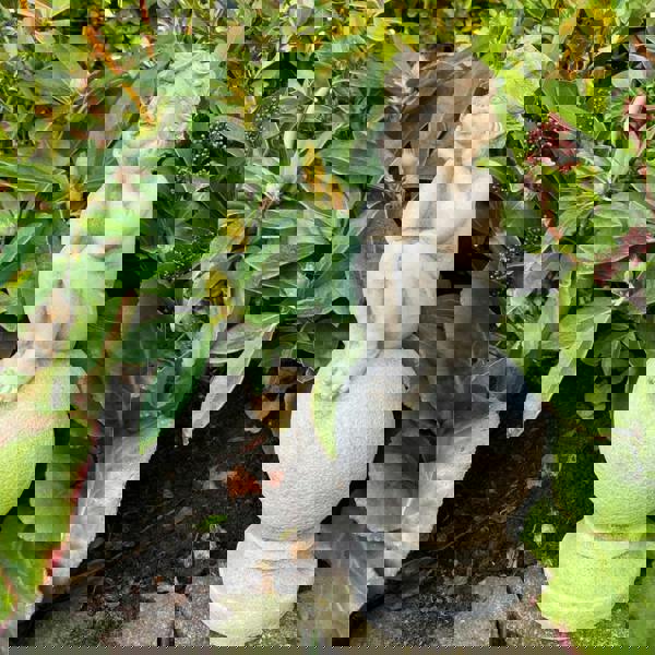 Adorable Stone Cast Boy on Ball Statue