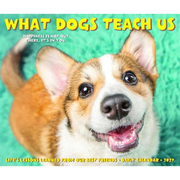What Dogs Teach Us Desk Calendar 2027, Desk Calendars, Day To View, Dogs, Gift