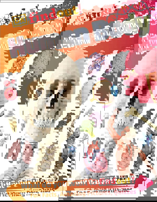 DKfindout Human Body