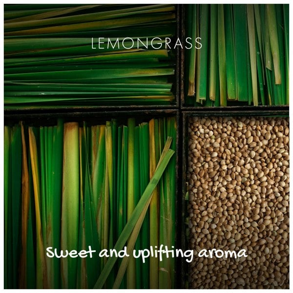 friendly soap lemongrass natural soap ingredient