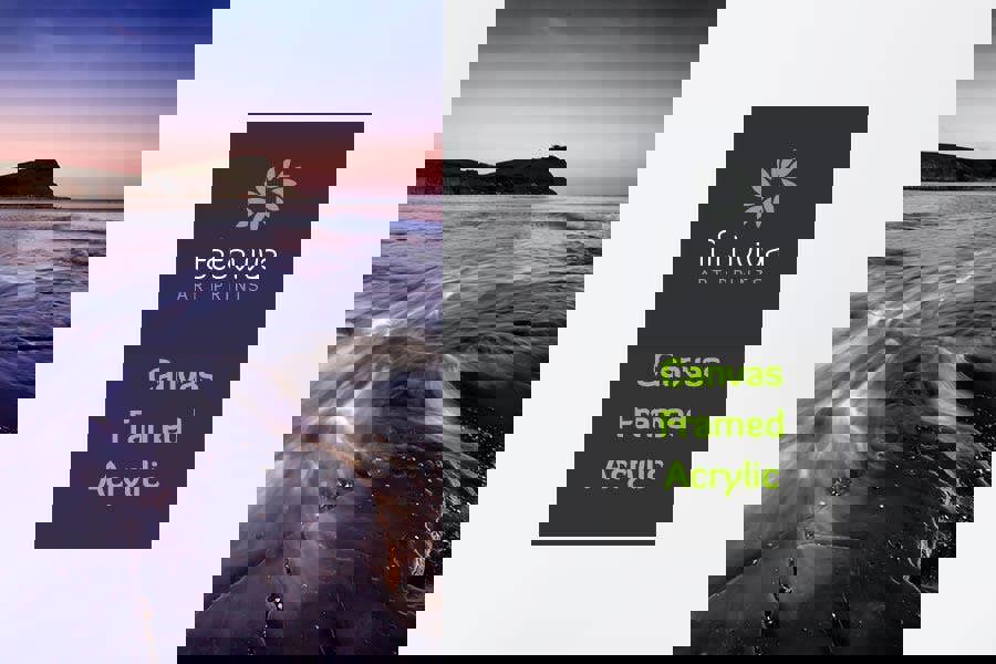 Fernlight Gallery The Magic of Kimmeridge