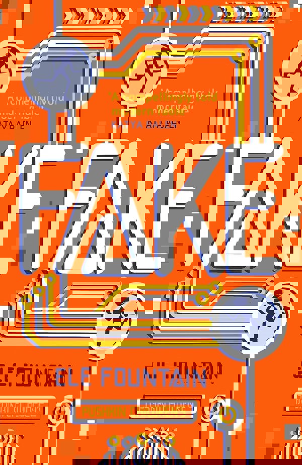 Ele Fountain 4 Books Collection Set (Fake, Boy 87, Storm Child, Melt)