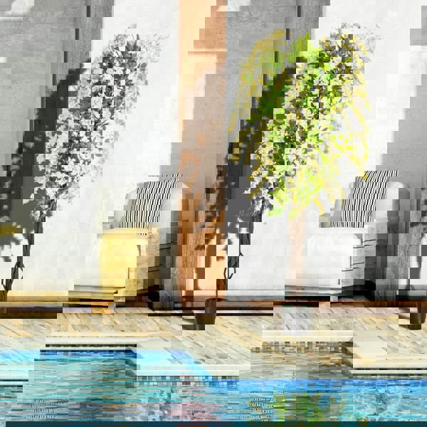 Artificial Plants