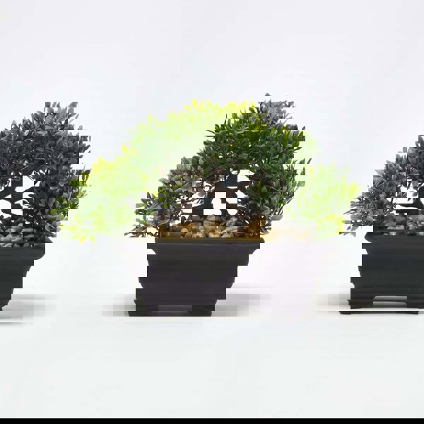 HOMESCAPES Set of 2 Artificial Bonsai Trees in Decorative Pots, 15 cm Tall