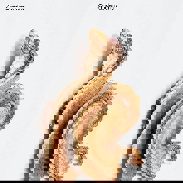 La Biosthetique Revitalising Balance Cream 50 ml