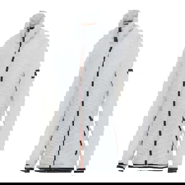 Regatta Womens/Ladies Olina Insulated Jacket - Gray Dawn - 