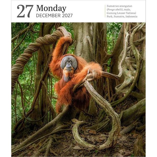 Audubon, Nature Gallery Refill Pack 2027, Desk Calendars, Day To View, Natural World, Gift