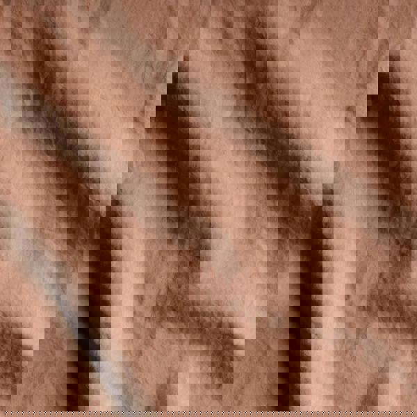 Bedable Percale Essentials Bedding Set