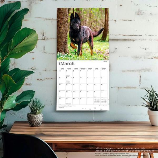 German Shepherds Calendar 2027, Wall Calendars, Month To View, Dogs, Gift
