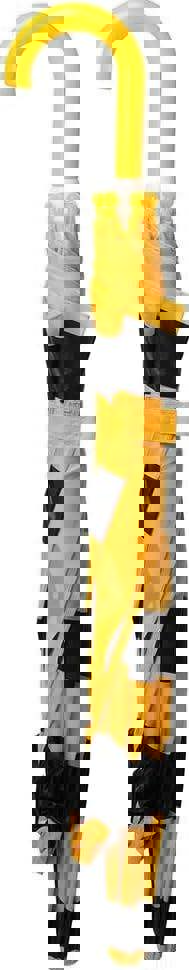 KAV Kids Transparent School Umbrella Boys and Girls - Sweet, Beautiful, Lightweight Design Dome Parasol for Your Child