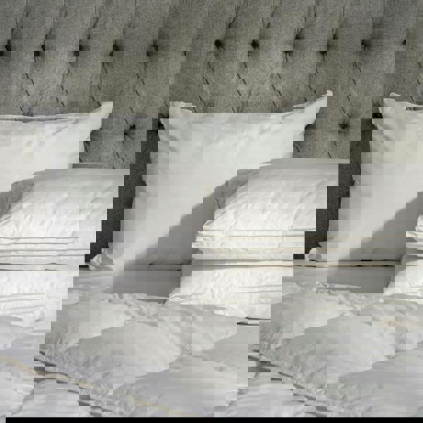 Soak&Sleep Hungarian Goose Down Pillows