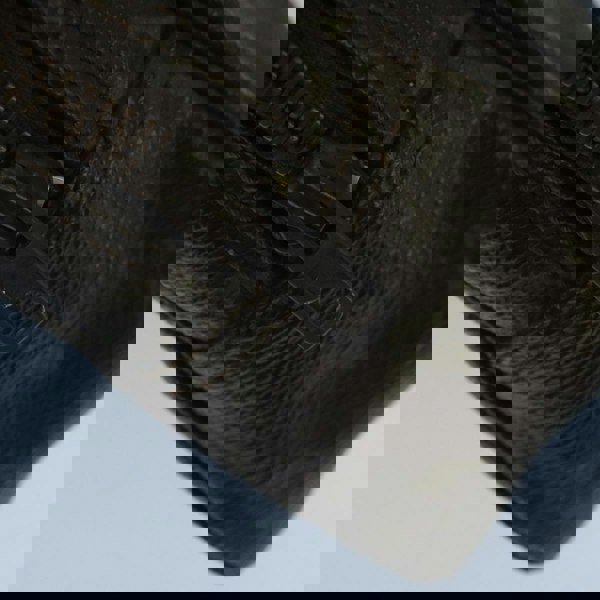 208421906.jpg