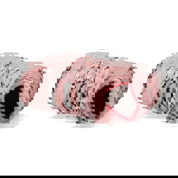 New Rock M-106-C158 Pink Platform Gothic Punk Ankle Boots