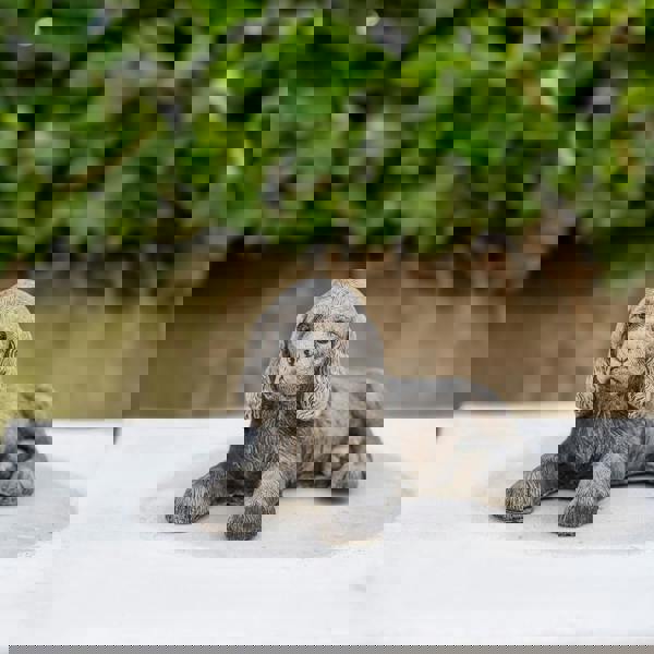 Adorable Small Lying Spaniel Ornament