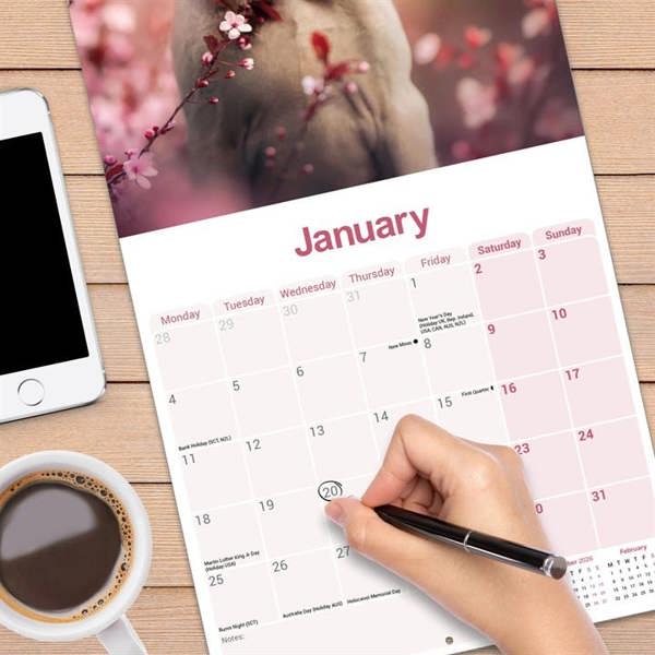 Weimaraner Calendar 2027, Wall Calendars, Month To View, Dogs, Gift